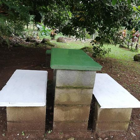 Paraiso Verde Siqurres Da Alegria Buitenkant foto