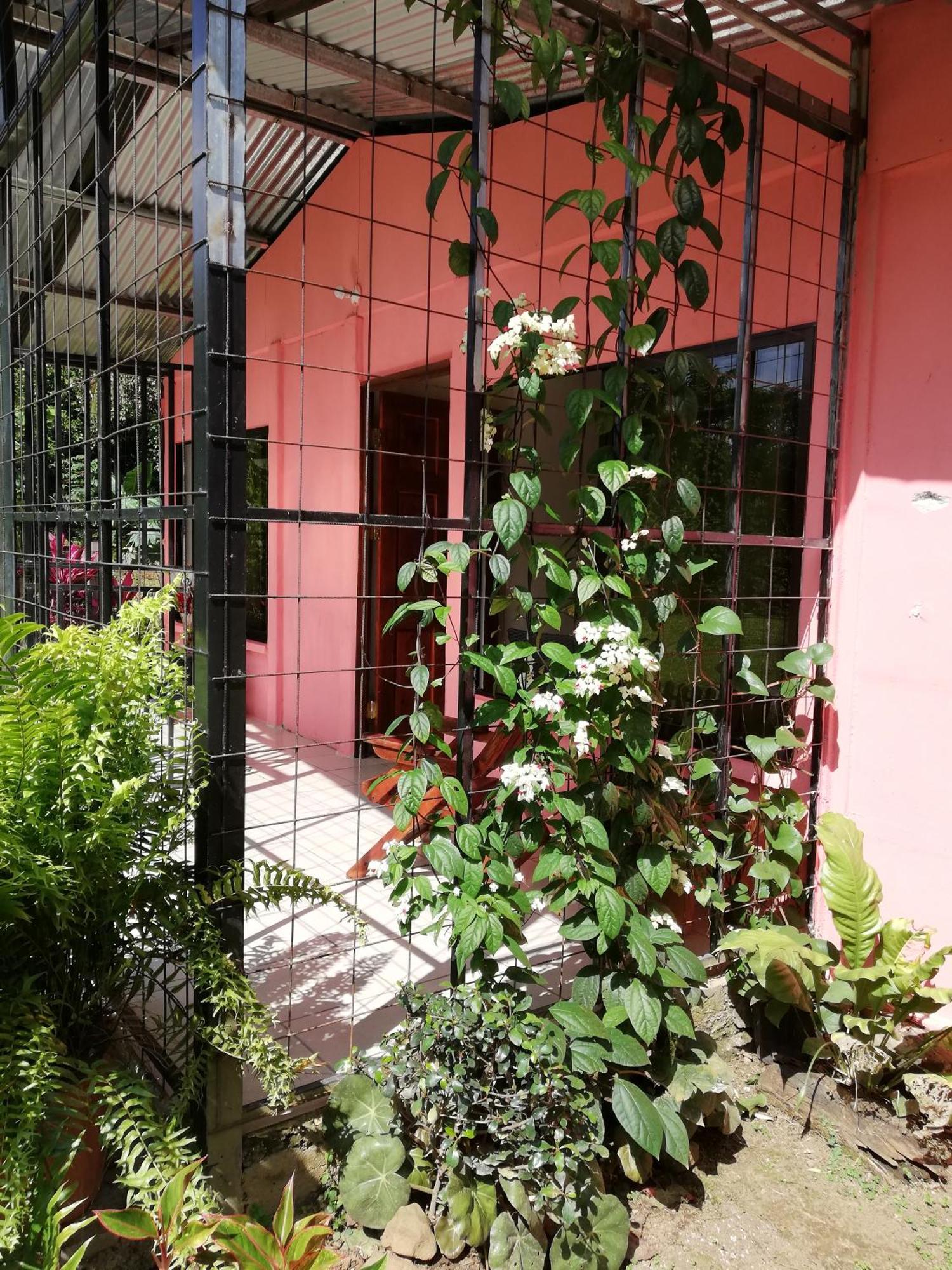 Paraiso Verde Siqurres Da Alegria Buitenkant foto